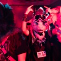 Furlandia 2026
