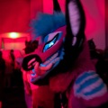 Furlandia 2026