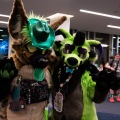 Furlandia 2026