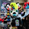 Furlandia 2026