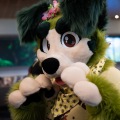 Furlandia 2026