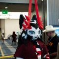 Furlandia 2026