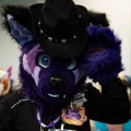Furlandia 2026