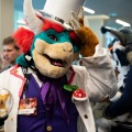 Furlandia 2026