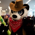 Furlandia 2026