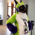 Furlandia 2026