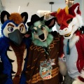 Furlandia 2026