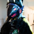 Furlandia 2026