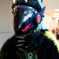 Furlandia 2026
