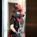 Furlandia 2026