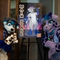 Furlandia 2026