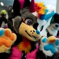 Furlandia 2026