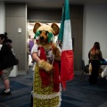 Furlandia 2026