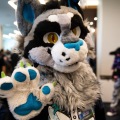 Furlandia 2026