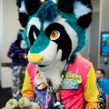 Furlandia 2026