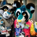 Furlandia 2026