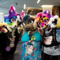 Furlandia 2026