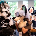 Furlandia 2026
