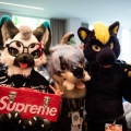 Furlandia 2026
