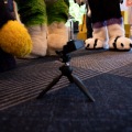 Furlandia 2026