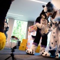 Furlandia 2026