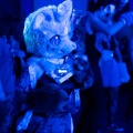 Furlandia 2026