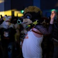 Furlandia 2026