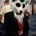 Furlandia 2026