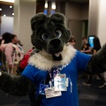 Furlandia 2026