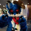 Furlandia 2026