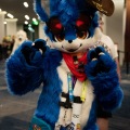 Furlandia 2026