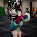 Furlandia 2026