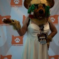 Furlandia 2026