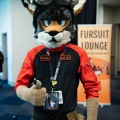 Furlandia 2026