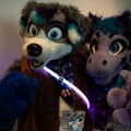 Furlandia 2026