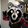 Furlandia 2026