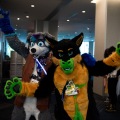 Furlandia 2026