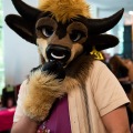 Furlandia 2026