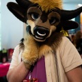 Furlandia 2026