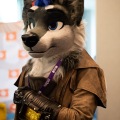 Furlandia 2026