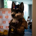 Furlandia 2026