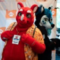 Furlandia 2026