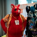 Furlandia 2026