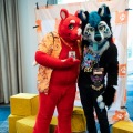 Furlandia 2026
