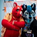 Furlandia 2026