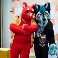 Furlandia 2026