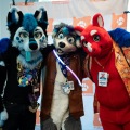 Furlandia 2026