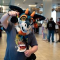 Furlandia 2026