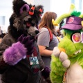 Furlandia 2026