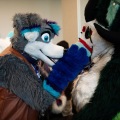 Furlandia 2026
